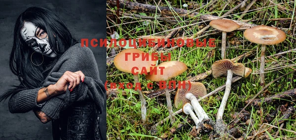 тгк Михайлов