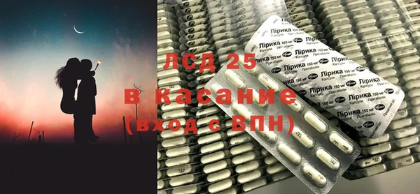 сатива Надым