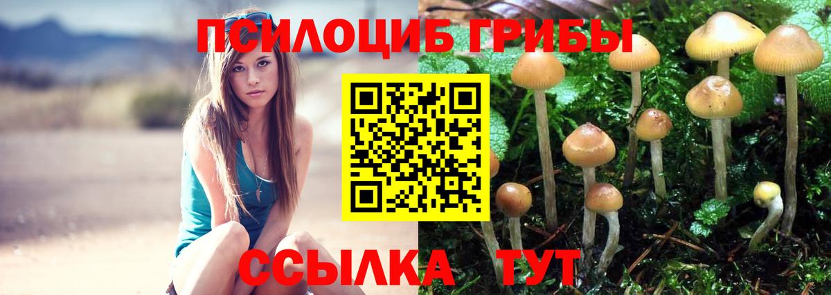 Псилоцибиновые грибы ЛСД  как найти   Советская Гавань  Вход с VPN 