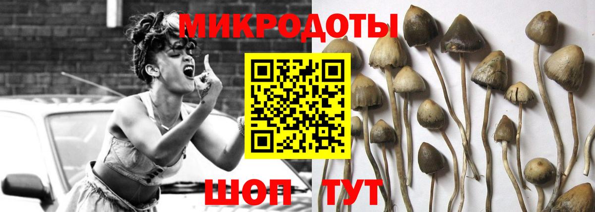 Галлюциногенные грибы Psilocybine cubensis Советская Гавань
